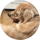 江尻有己 profile picture